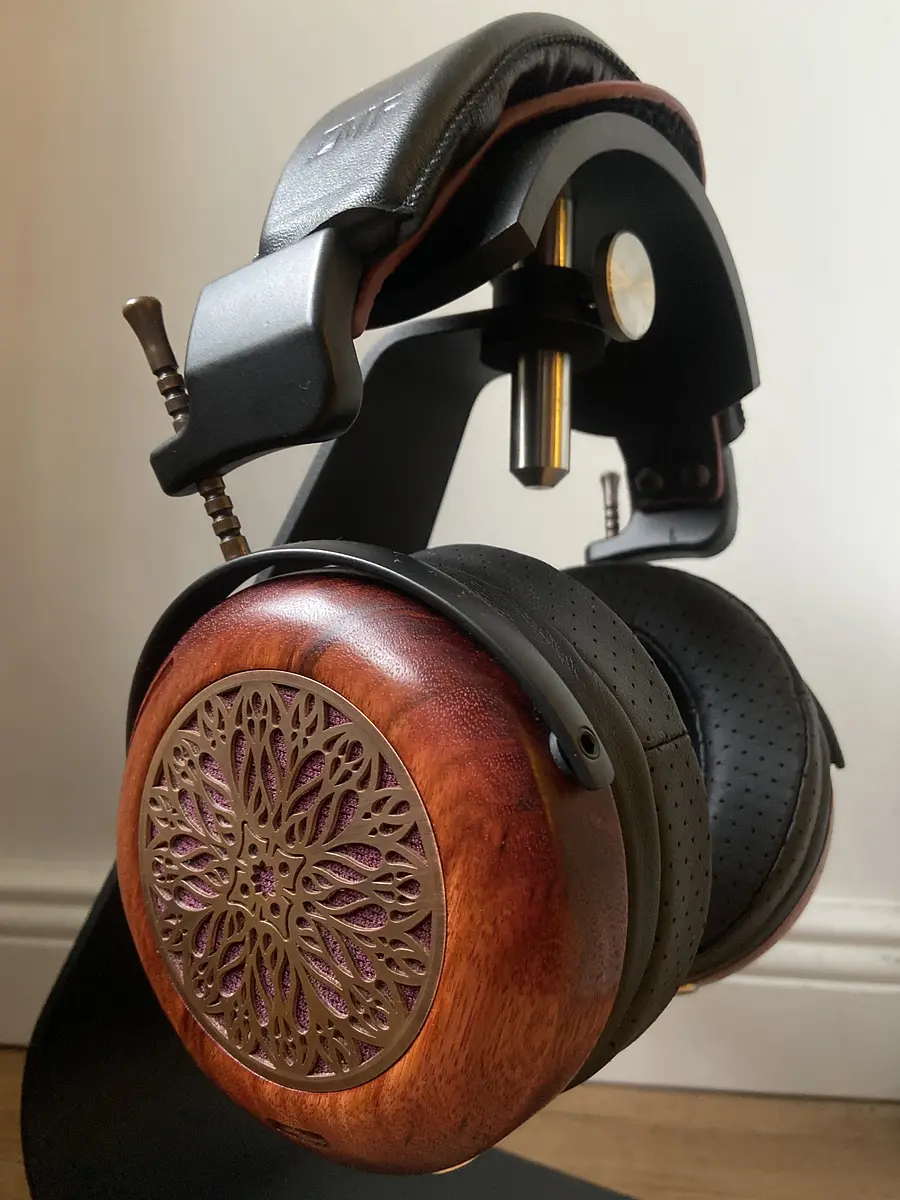 Zmf Atrium Open 2.JPG